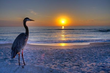 mer-rivage-coucher-soleil-copie-1.jpg