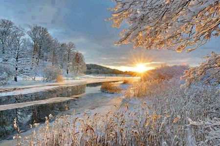 saison hiver lumiere or 596