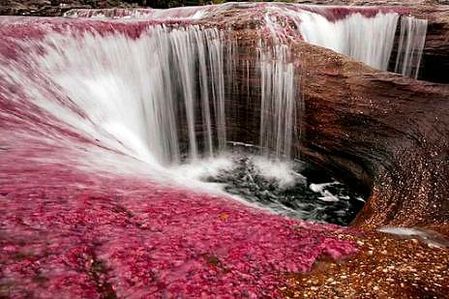 Cano-Cristales3
