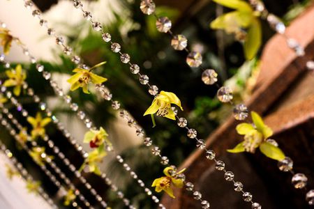 rideau-perle-orchidee.jpg