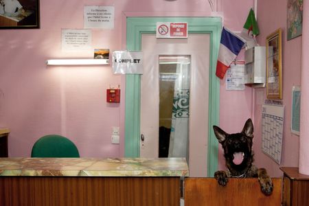 martin-parr-the-goutte-dor-1-accueil-canin-copie-1.jpg