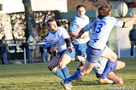 2011-01-rugby