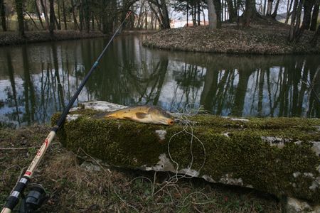 La pêche sur arkhimandritskom le lac