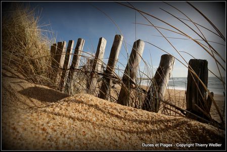 dunes et plages (11)