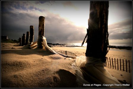 dunes et plages (3)