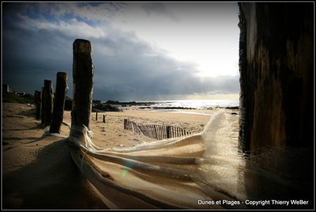 dunes et plages (4)