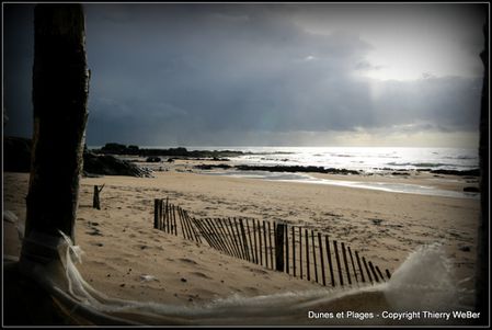 dunes et plages (5)