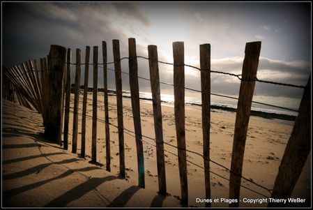 dunes et plages (7)