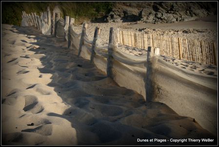dunes et plages (8)