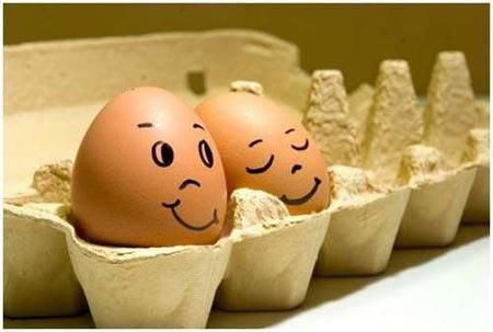 oeuf01.jpg