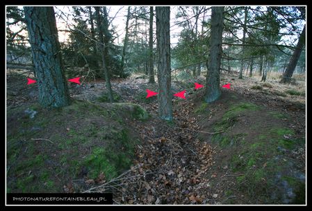 20071228 vestiges guerre fontainebleau 03