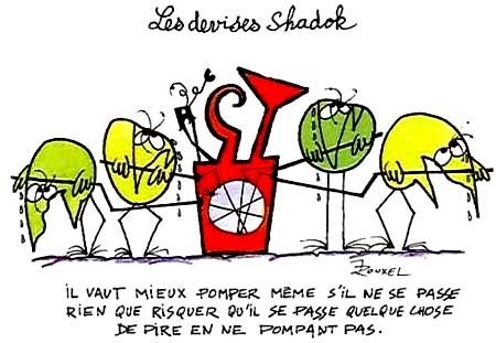 shadok