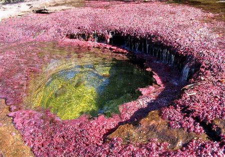 Cano-Cristales2