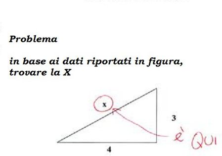 trota.jpg