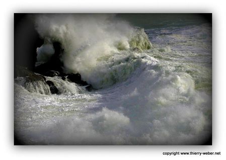 le-bal-des-sirenes (15)-copie-1