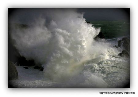 le-bal-des-sirenes (16)-copie-1