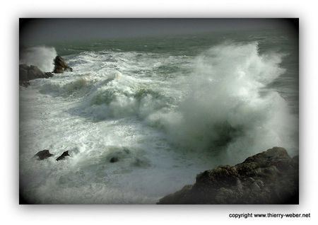 le-bal-des-sirenes (32)-copie-1