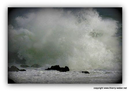le-bal-des-sirenes (9)-copie-1