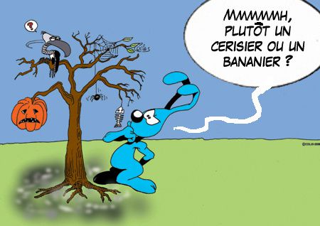-careme2012-lapinbleu-37jeudi5-1-mel