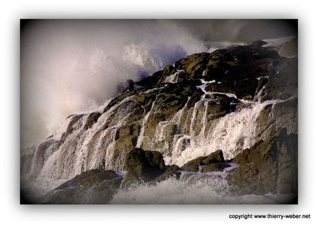 le-bal-des-sirenes (37)-copie-1