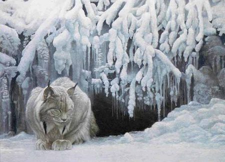 animal-lynx-5.jpg