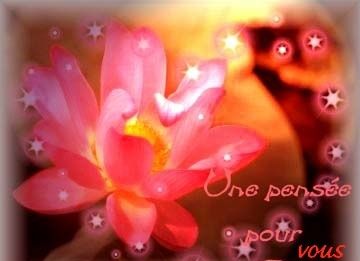pensée