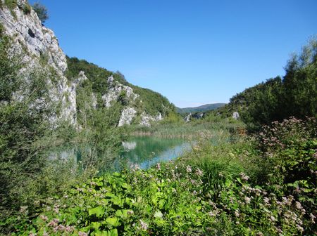 Lac-7.JPG