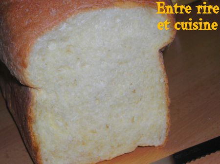 DSCN8821-copie-1.JPG