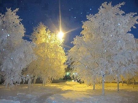 saison-hiver-lumiere-neige.jpg