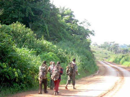 route-mossendjo-chasseurs