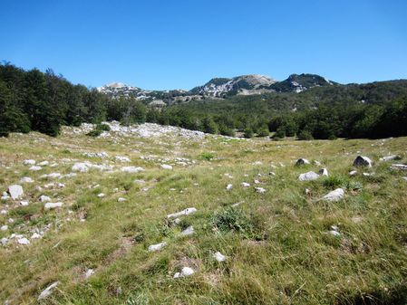 Pa-7-copie-1.JPG
