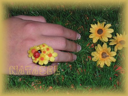 bague-fleurs-et-cocci-2.jpg
