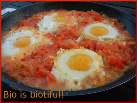 Oeufs à la tomate 2