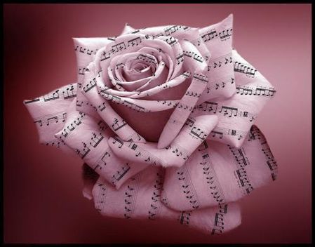 rose-musique_imagesia-com_1uzb.jpg