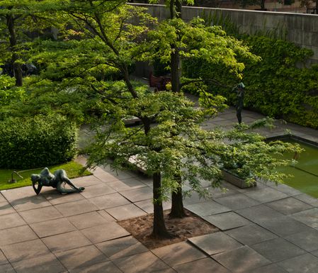 Neue Galeri Mies Van der Rohe Jardin