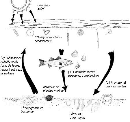 Regarder la pêche dhiver chtcherbakovykh