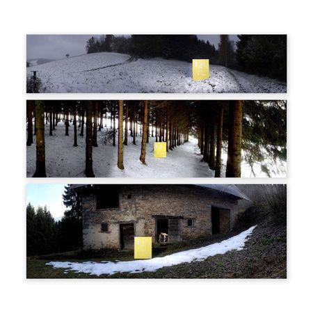 fleur d'hiver-jaune