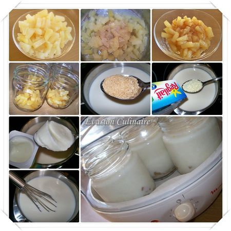 yaourt-ananas2.jpg