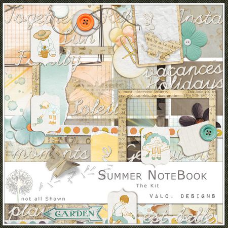 ValCDesignskit-SummerNotebook-.jpg