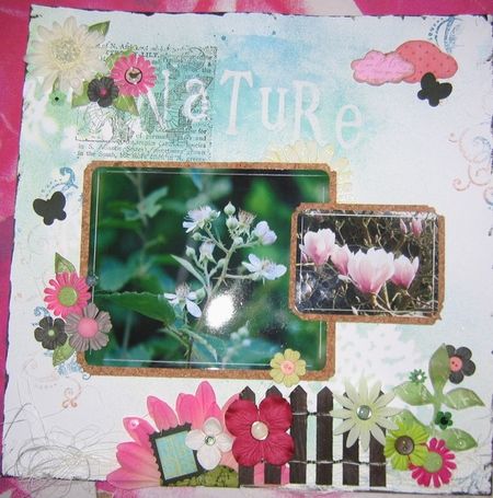nature.jpg