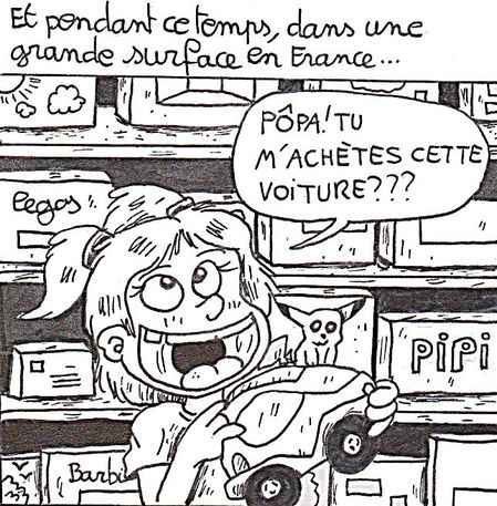 Ste12.jpg