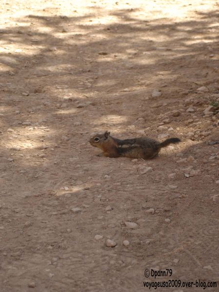 Bryce Canyon - 02