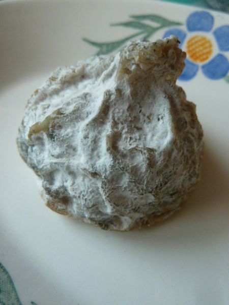 figue-004.JPG