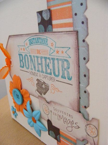 DSCF6462--Copier-.JPG