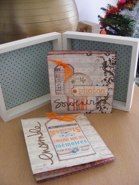 DSCF6464--Copier-.JPG