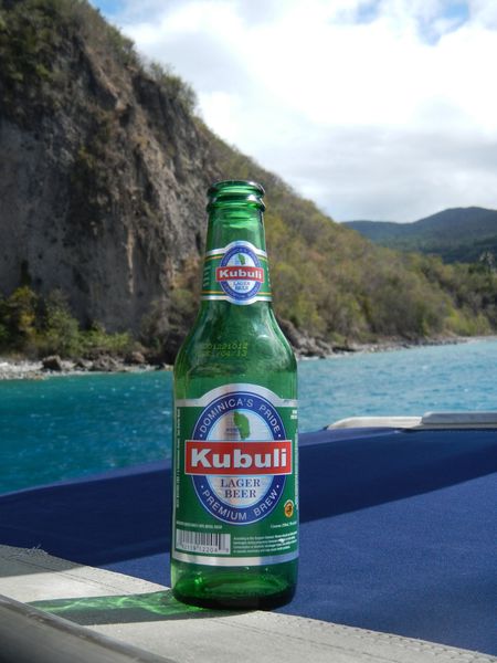 BierreDominique Kubuli 1 copie