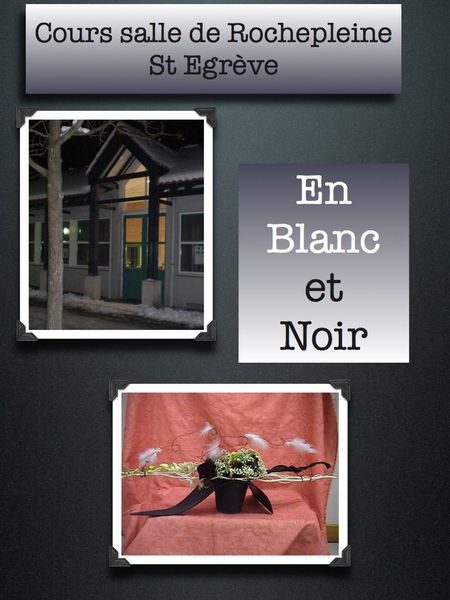 rochepleine.001