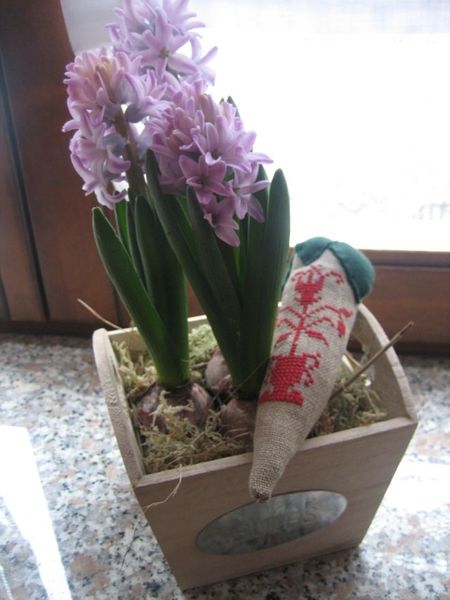 fragola-Niky-1.jpg