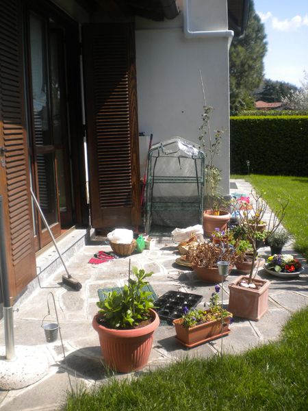 giardino-disordine.jpg