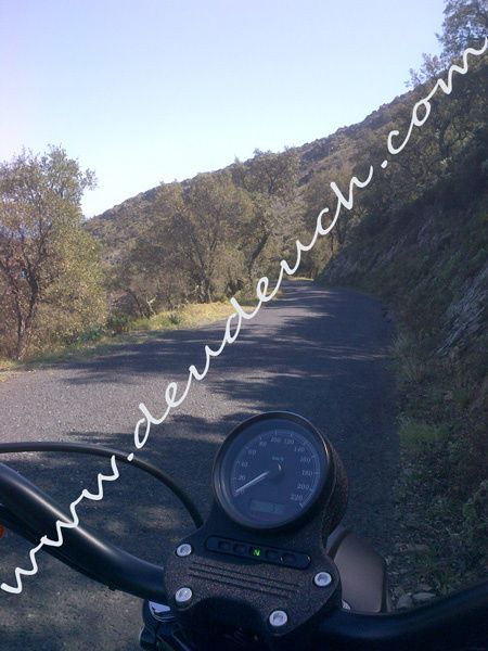 IMG-20120331-00160